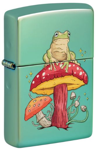 Slika ZIPPO UPALJAČ Mystical Frog Design 48973